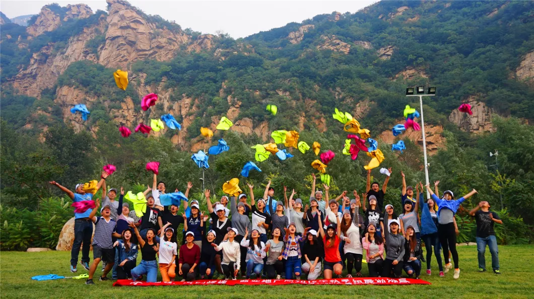 Modern LED Outdoor Garden Bollard Lights for Landscape Lighting