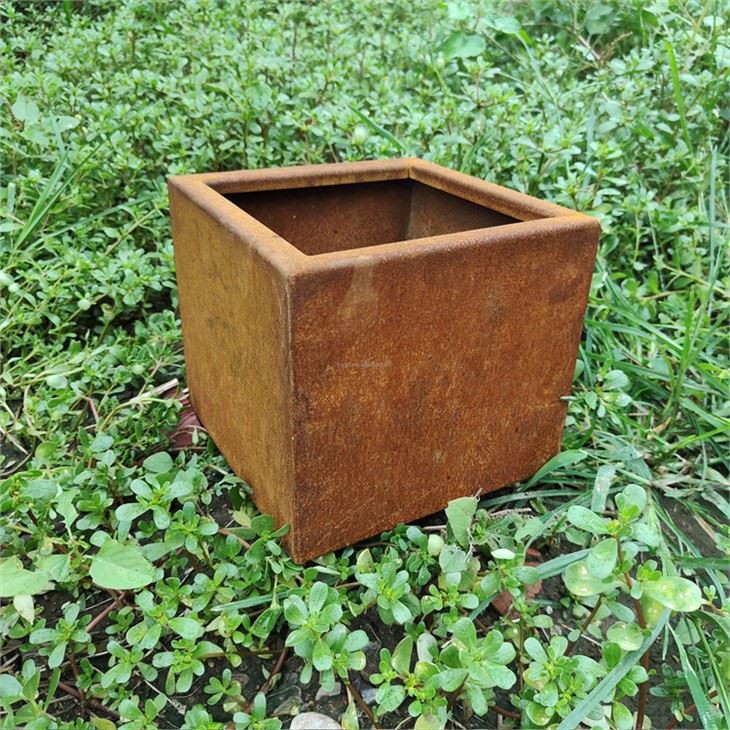 Vrtni kortenov čeličana