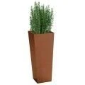 Three Size Options Flower Pots