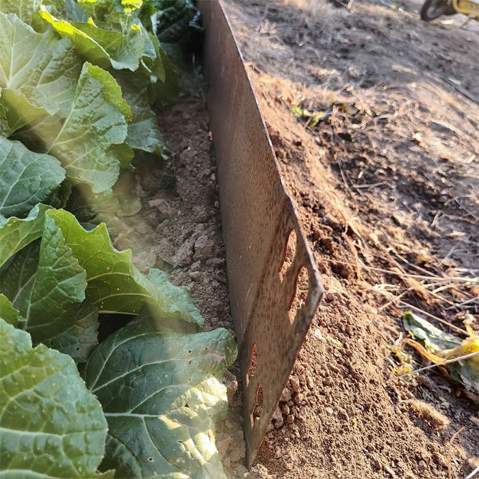 Corten Open Bottom Planter Bed suppliers