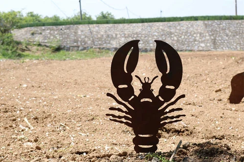 product-730-486 product-730-486