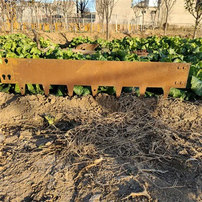 Corten čelični vrtni rubovi za vrt